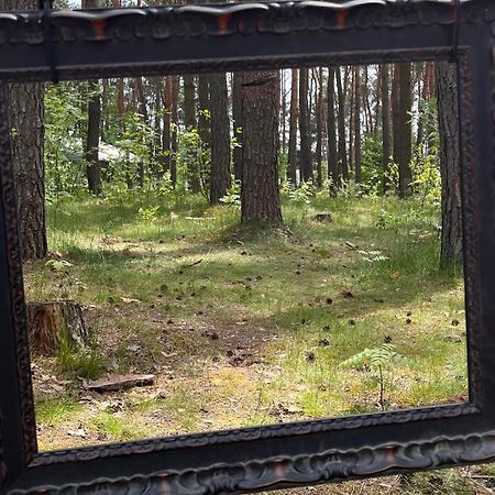 Gora Spokoju Osada Klimatyczna-Lesna Inowlodz 외부 사진