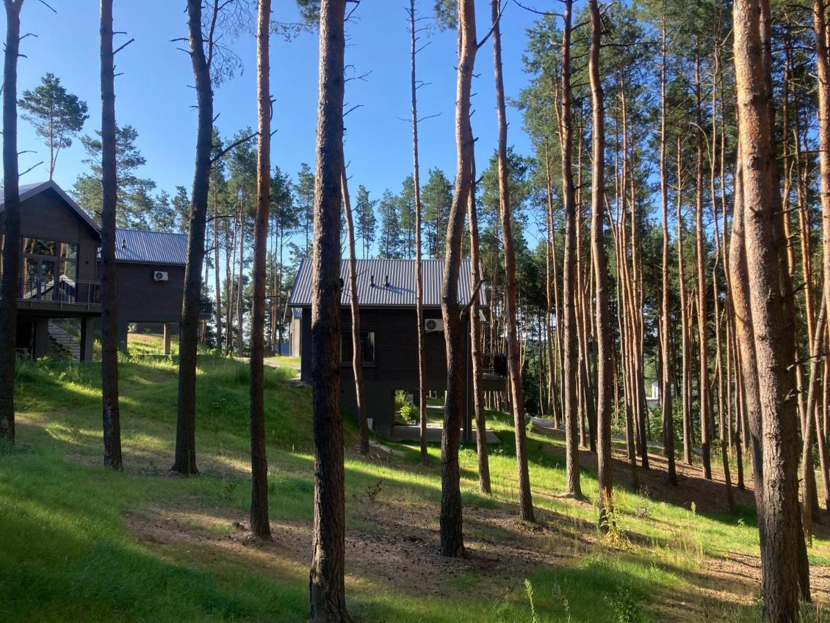Gora Spokoju Osada Klimatyczna-Lesna Inowlodz 외부 사진