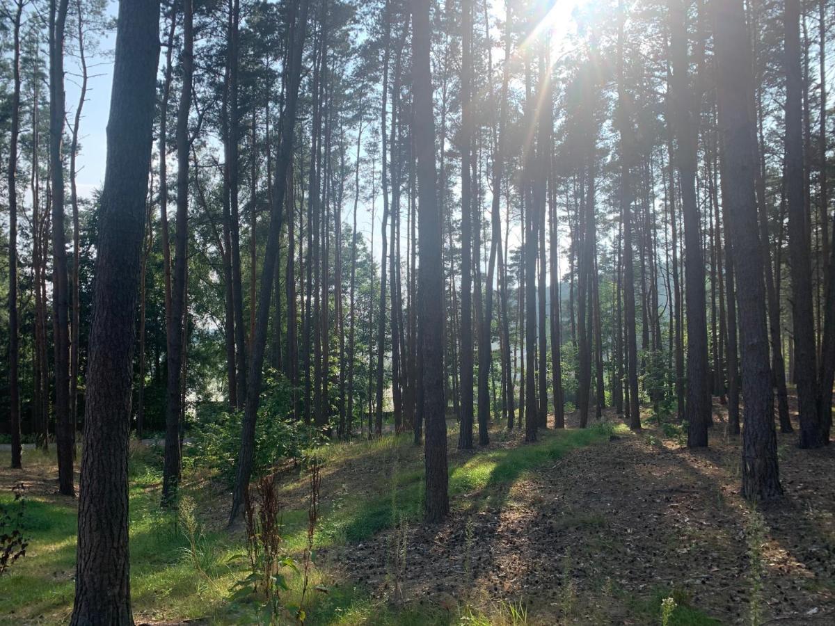 Gora Spokoju Osada Klimatyczna-Lesna Inowlodz 외부 사진