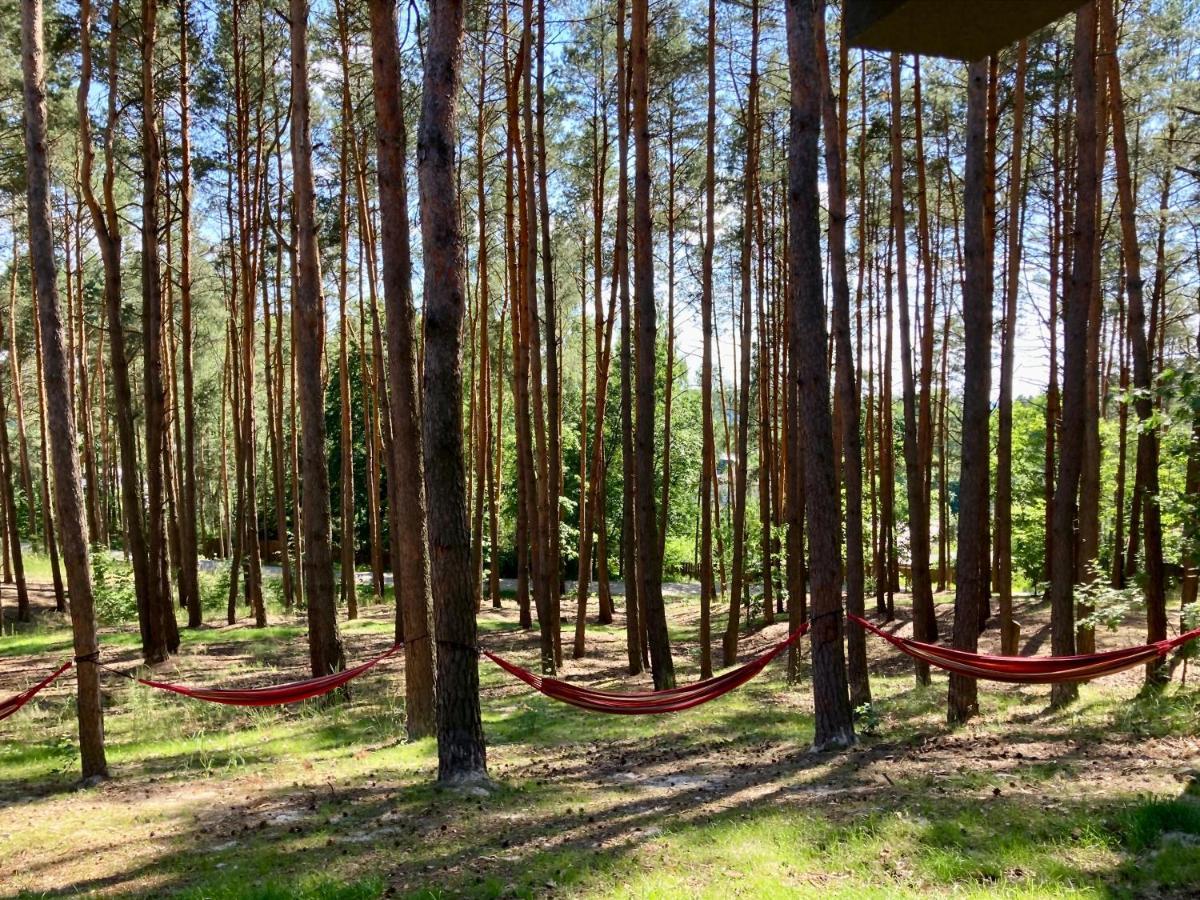 Gora Spokoju Osada Klimatyczna-Lesna Inowlodz 외부 사진